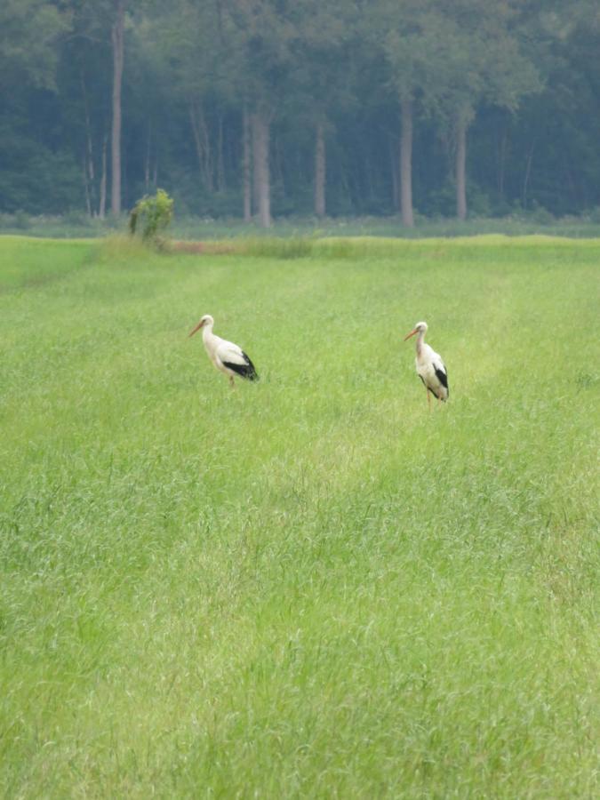 Vakantiewoning De Klaproos Bojil ภายนอก รูปภาพ
